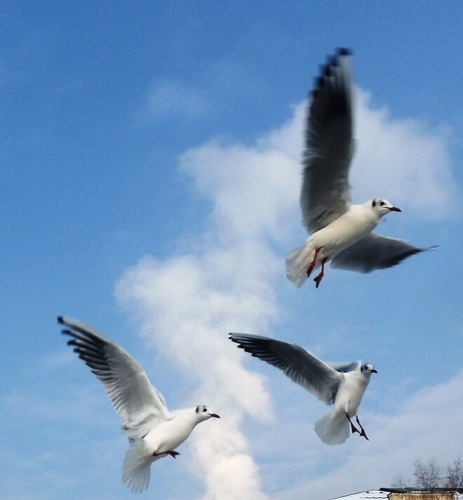 Abflug..