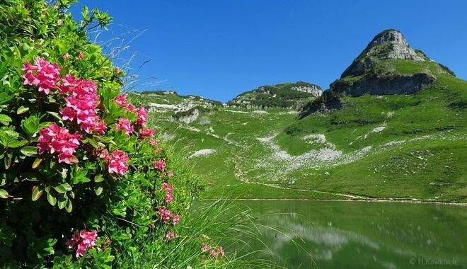 Am schönen Augstsee
