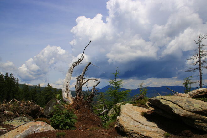 Wolkenturm überm Gaberl