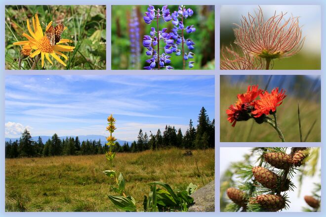 Impressionen von der Pack-Wanderung