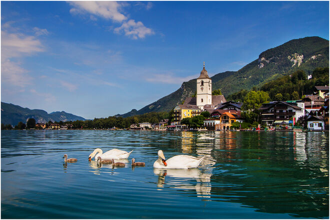 Schwanensee