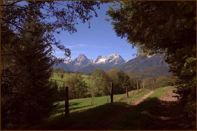 . . . und immer wieder diese zwei