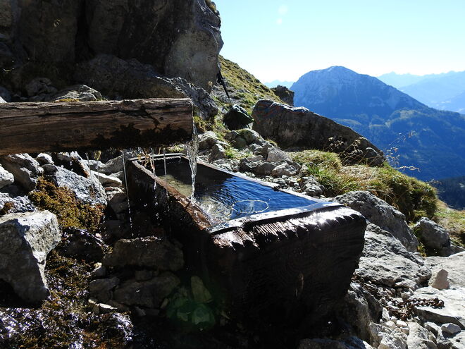 Jungbrunnen