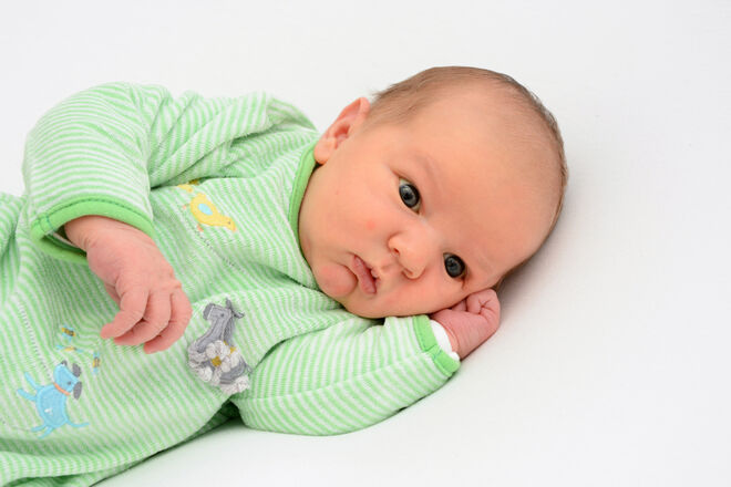 Maximilian Werley