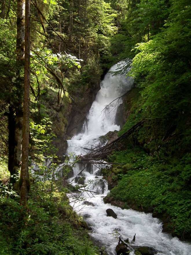 Der Schwarzbachfall