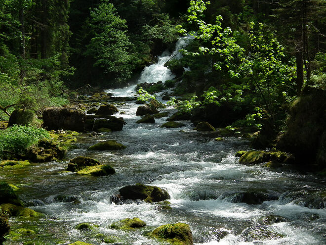 Der Schwarzenbach