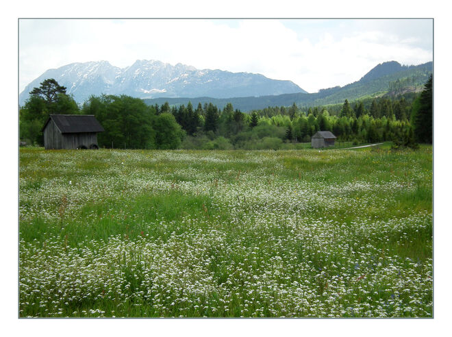 Das Ödensee - Moor