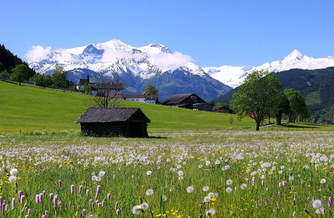 Frühling im Pinzgau