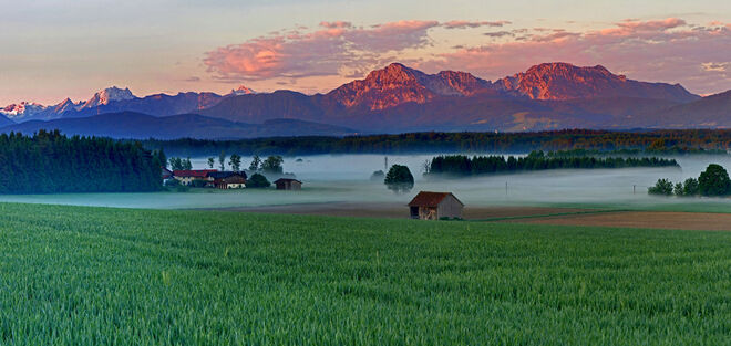 Frühmorgens im Haarmoos