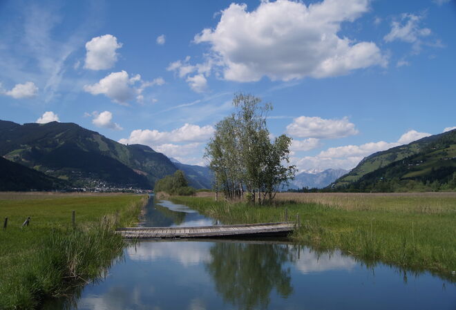 Viel Wasser im Naturschutzgebiet am Zeller See