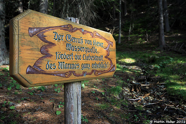 Viagra-Konkurrenz aus der Waldquelle?