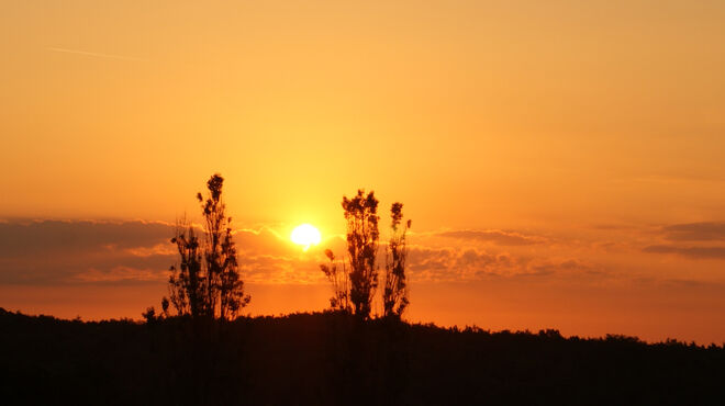 Sonnenaufgang 3