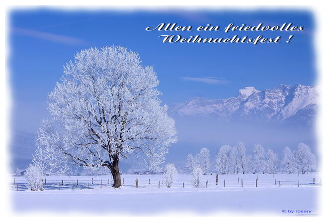 Allen Blog-Freunden und dem SN-Team frohe Weihnachten