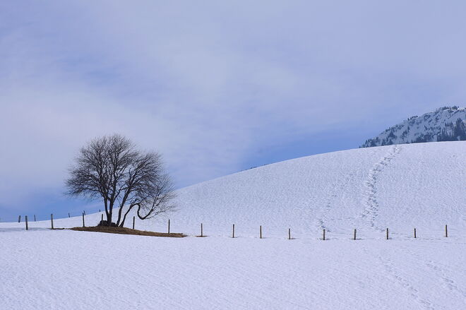 Gestern bei Saalfelden - soviel zum Thema Frühling
