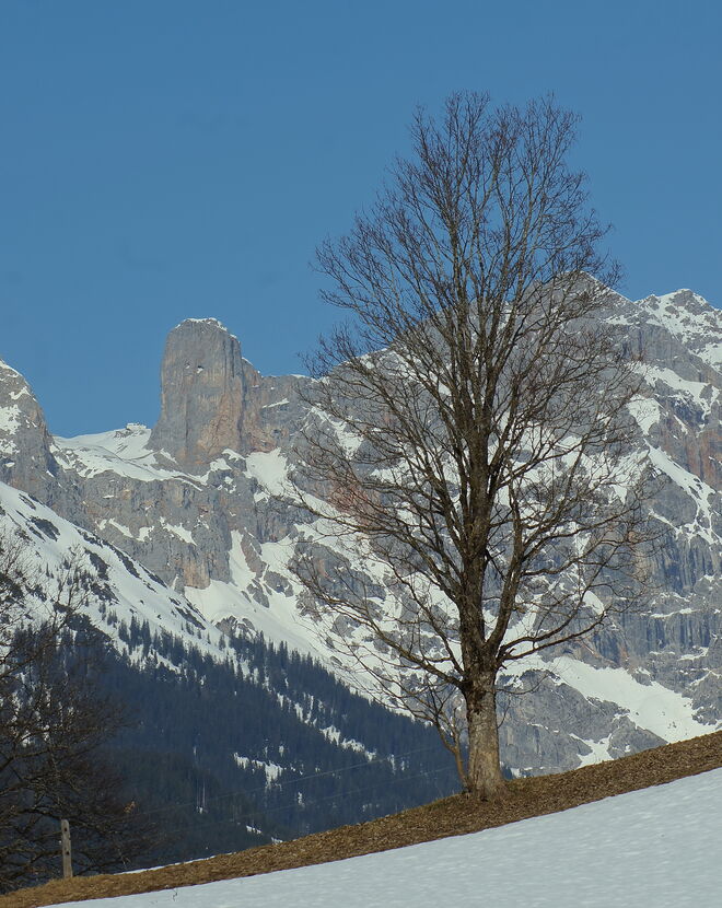 Blick zum Steinernen Meer