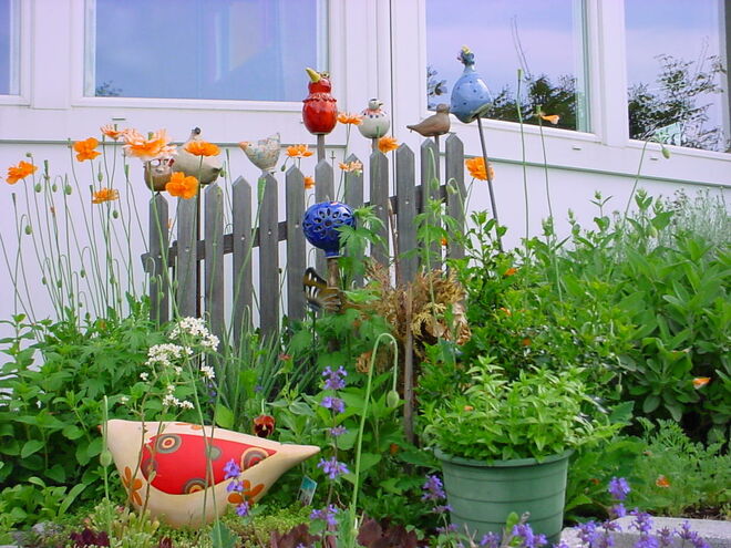 Vogelschar am Gartenzaun
