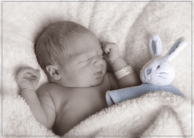 Boschele Noah