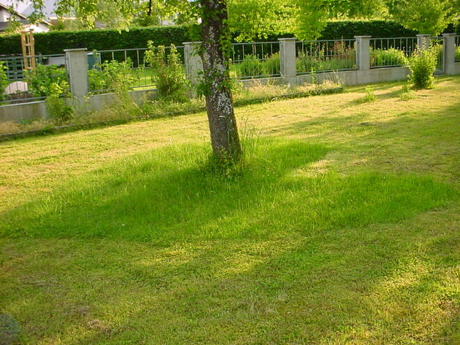 ein Herz für den Garten