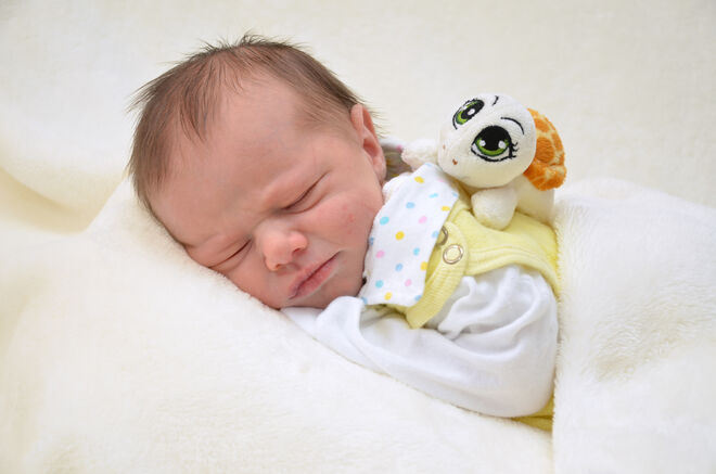 Felicia Wagenleitner