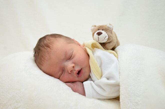 Anna Katharina Költringer