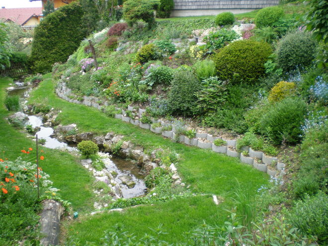 Wasser im Garten