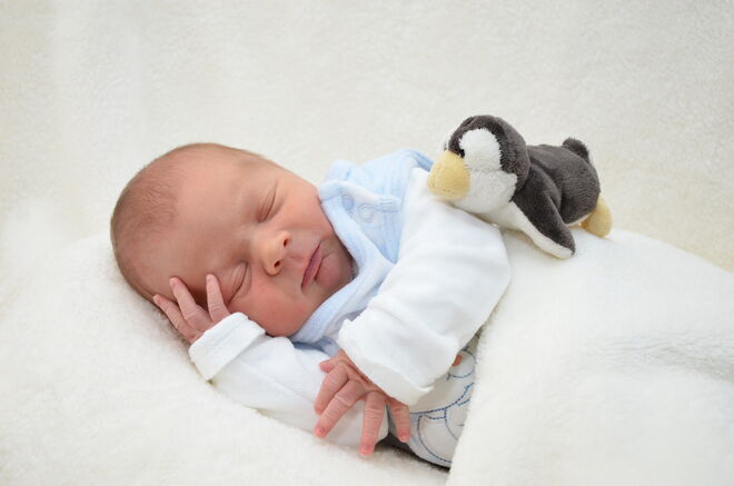 Luca Noah Janschitz
