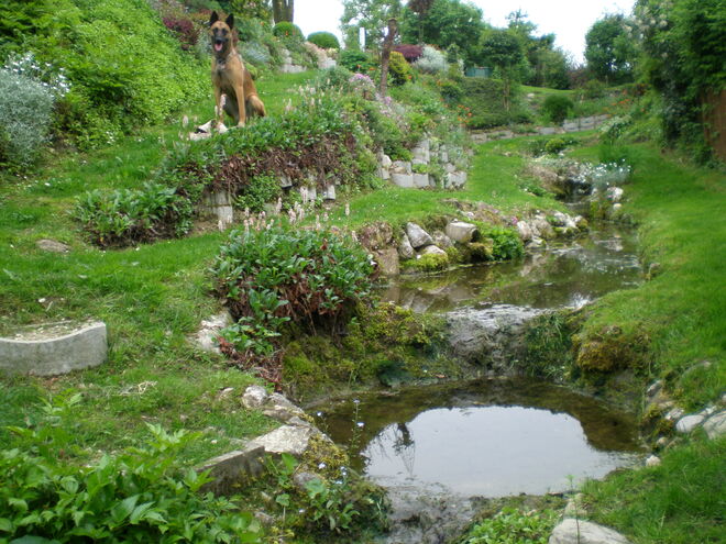 Gartenwächter