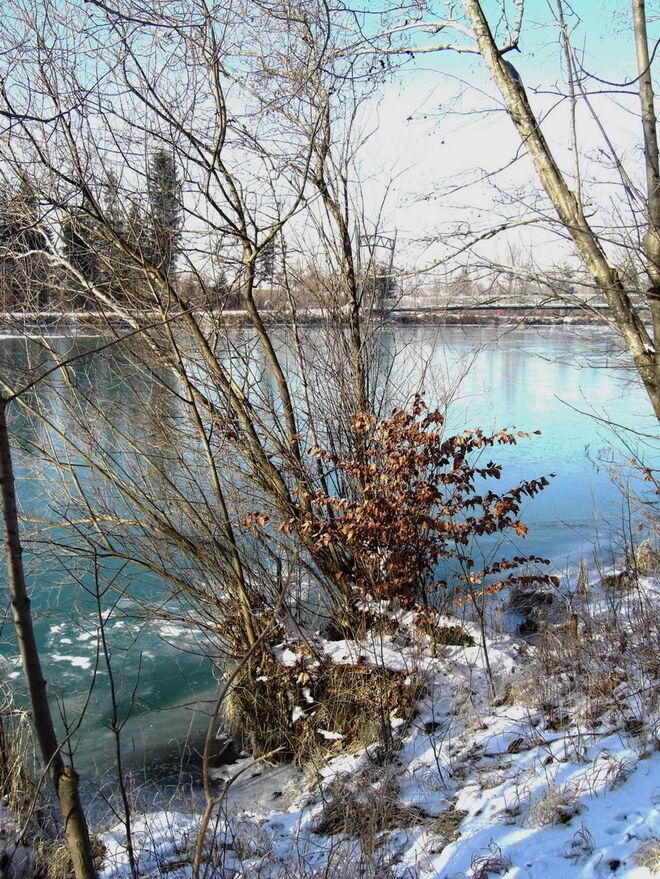 Salzachufer