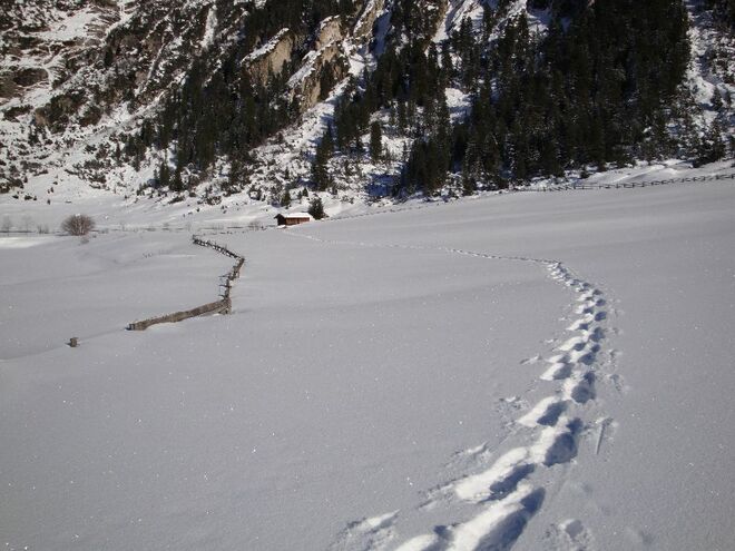 Schneeschuhwanderung