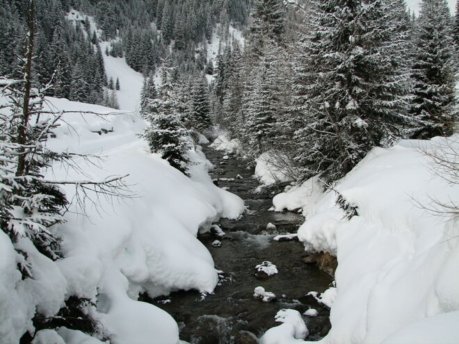 Stilles Rauschen
