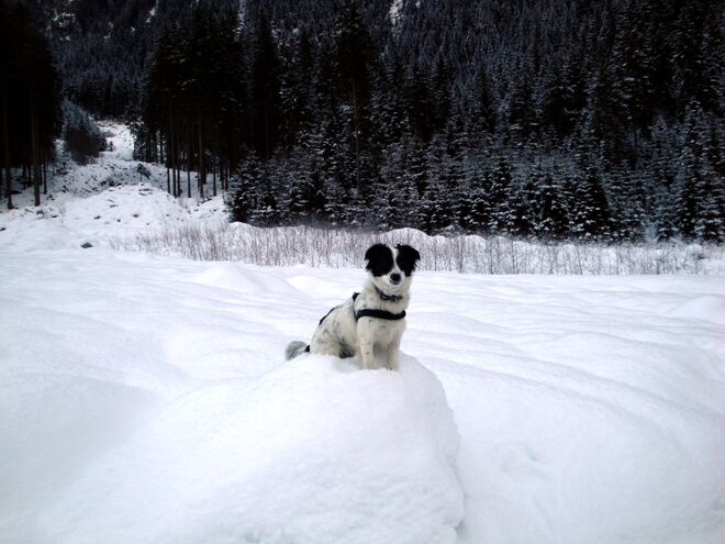 Frozen Throne