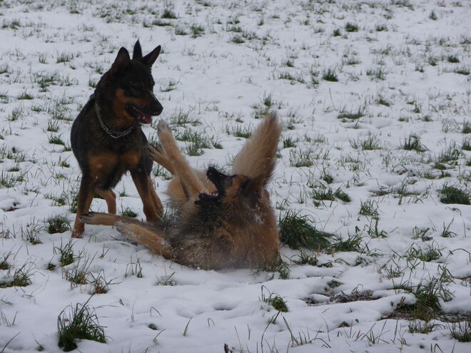 Winterfreude