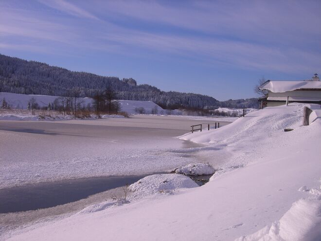 Winterstimmung am Grießensee
