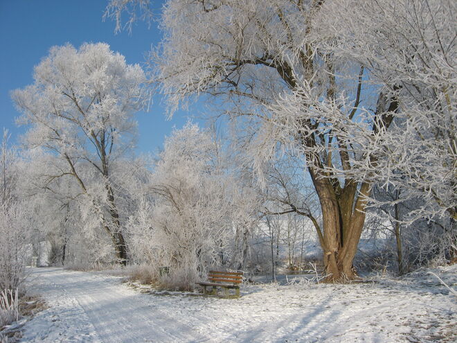 Winter in Bergheim