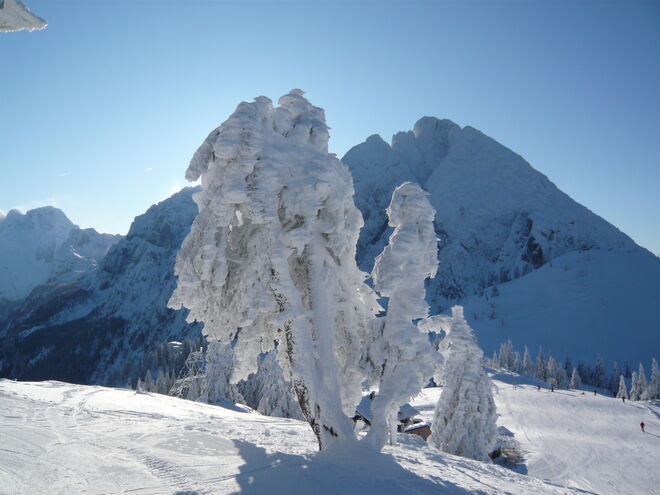 ... nach dem Schneesturm