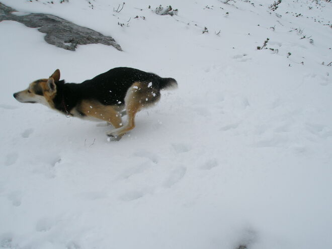 immer flott durch den Winter