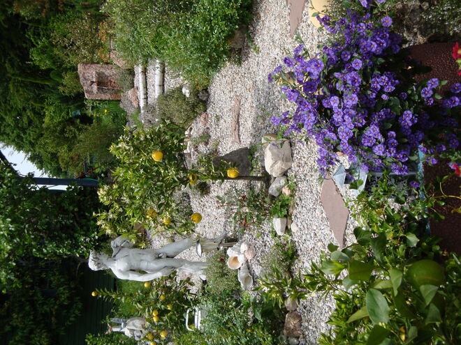 Traudis Garten