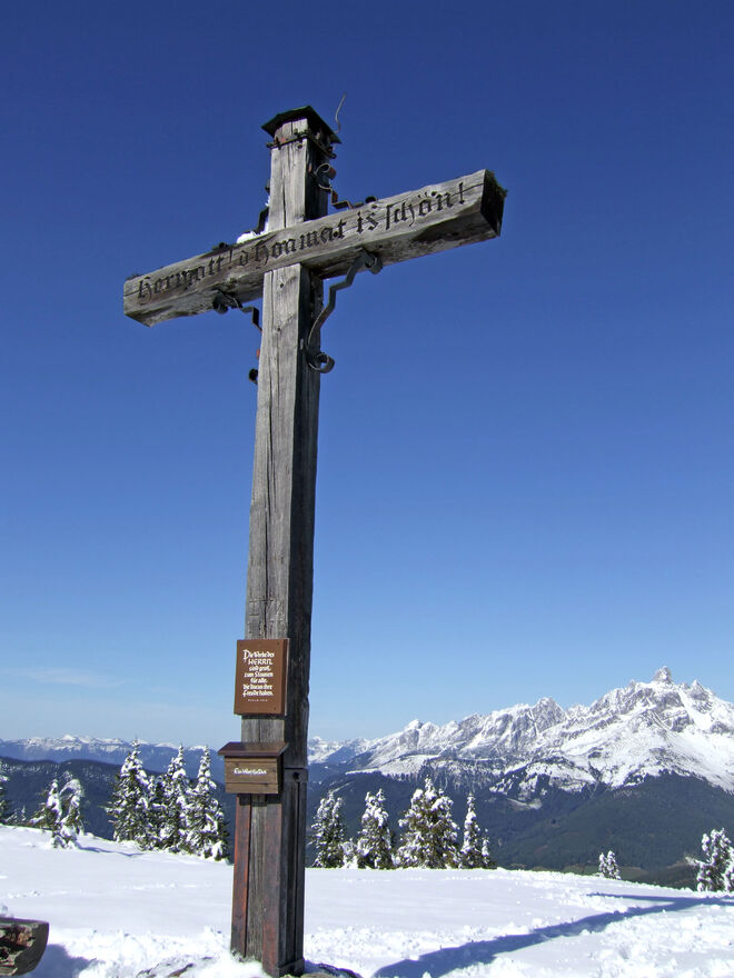 bischofsmütze