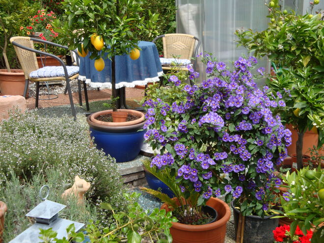 Traudis Garten
