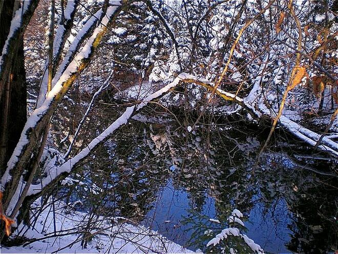 Winterspiegelung...