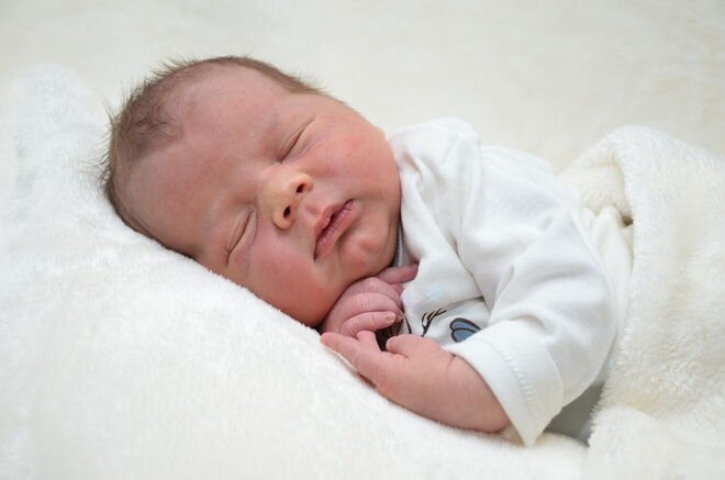 Maximilian