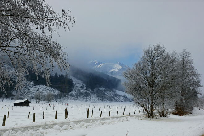 Kurzer Lichtblick