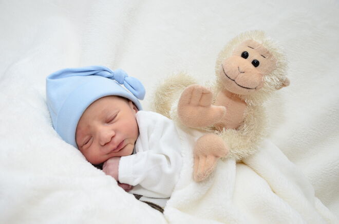 Teodor Rakic