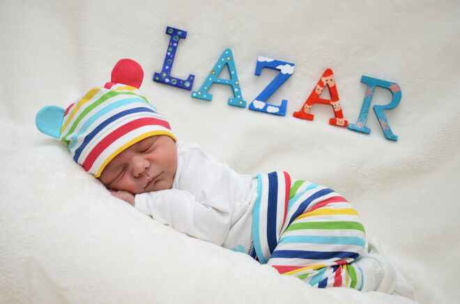 Lazar Donic