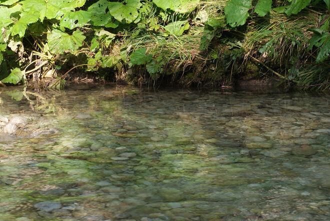 Zu kalt zum Baden,