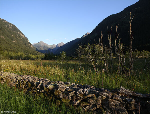 Die Abendsonne scheint ins Tettermoor