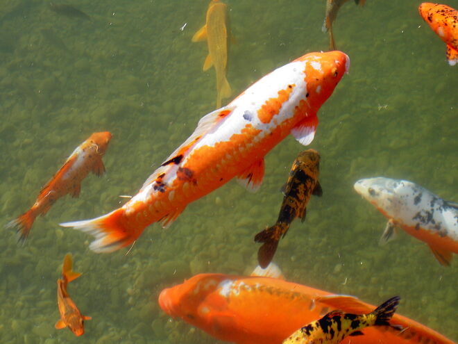 leuchtendes Wasser...