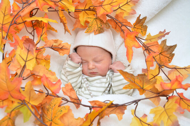 Maya Marlene Krammer