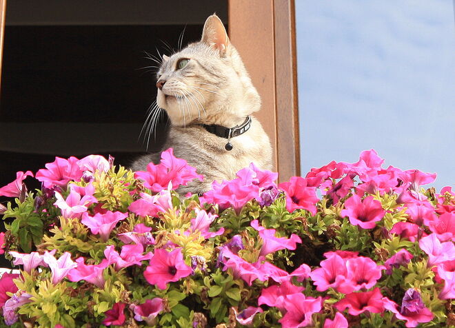 alles im Blick..
