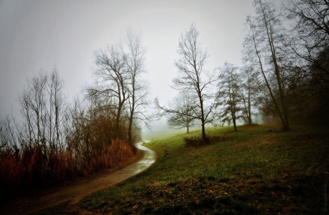der Pfad